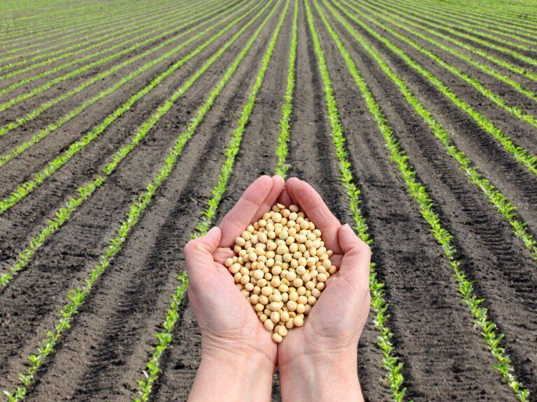 Towards an agricultural future: can Italy live just on the primary sector?